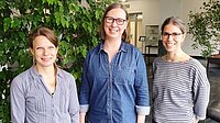BDP-Fachgruppe „Psychologie in der CI-Versorgung BDP-Fachgruppe „Psychologie in der CI-Versorgung