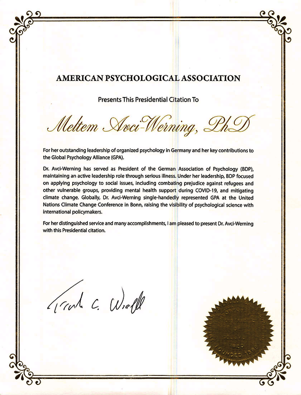 Avci-Werning__M_Citation Avci-Werning__M_Citation