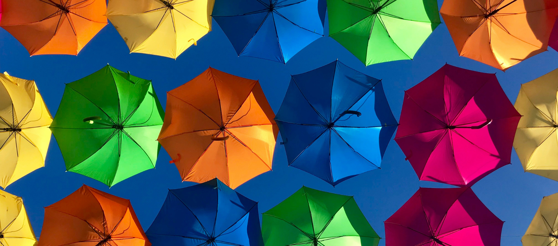 VPP-Regionalvertretungen