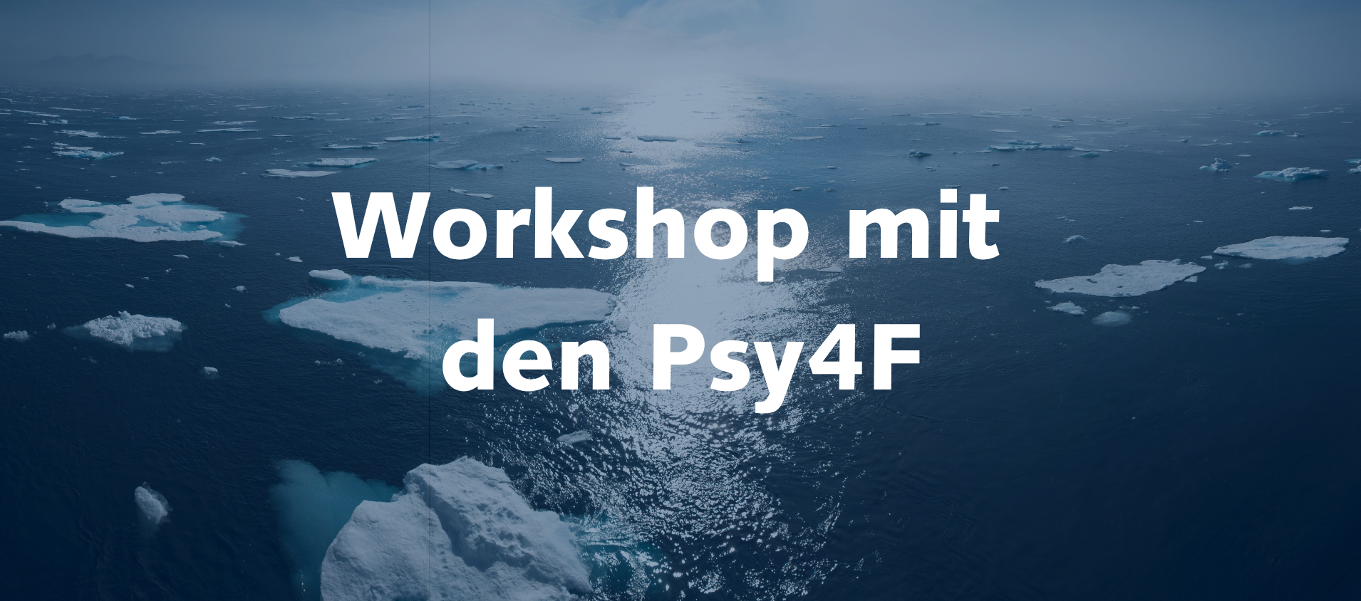 Workshop mit den Psy4F Workshop mit den Psy4F